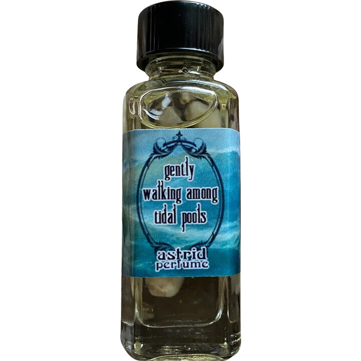 Gently Walking Among Tidal Pools